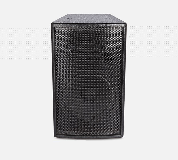 专业会议音箱60W/100W